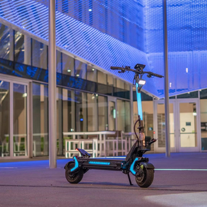 4000W Roadrunner RX7 Electric Scooter