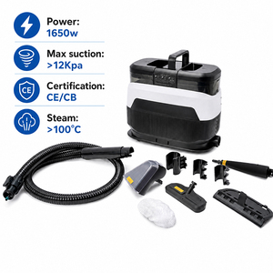 High Pressure Steam Rug Carpet Cleaning Machine