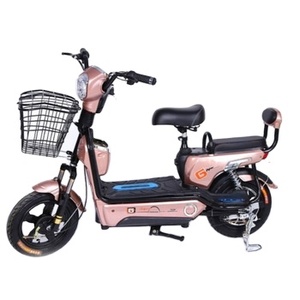 Electric Bicycle 200w 450w 500W