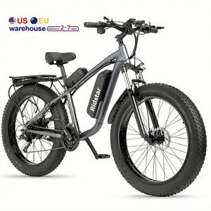 Wholesale 26 Inch Fat Tire Electric City Bike