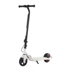 OEM 24V Kids & Adult Electric Scooter