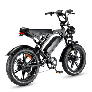 Oem Factory E Bikes for Adults Electrical Bike Price 250W